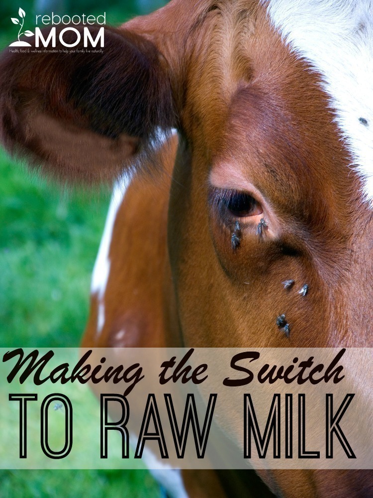 Making the Switch to Raw Milk