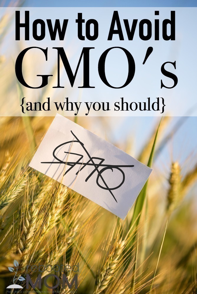 How to Avoid GMO's (and Why you Should)