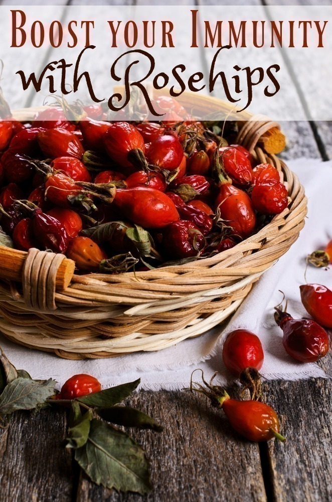 Boost your Immunity with Rosehips