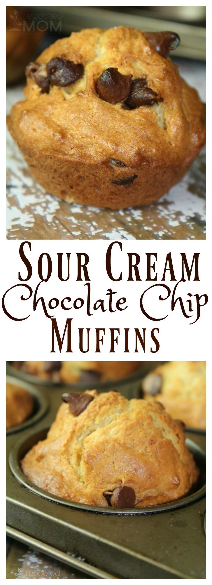 Sour Cream Chocolate Chip Muffins