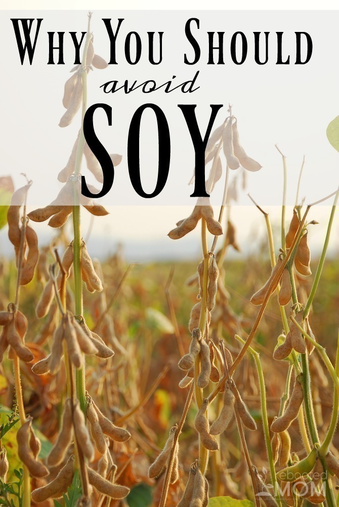 Why You Should Avoid Soy
