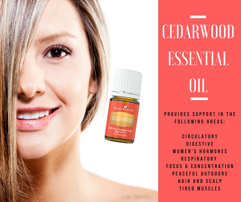 9 Ways to use Cedarwood Essential Oil to Support your Health and Wellness