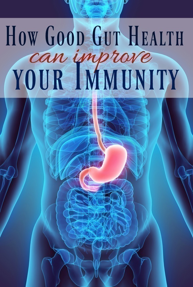 How Good Gut Health can Improve your Immunity