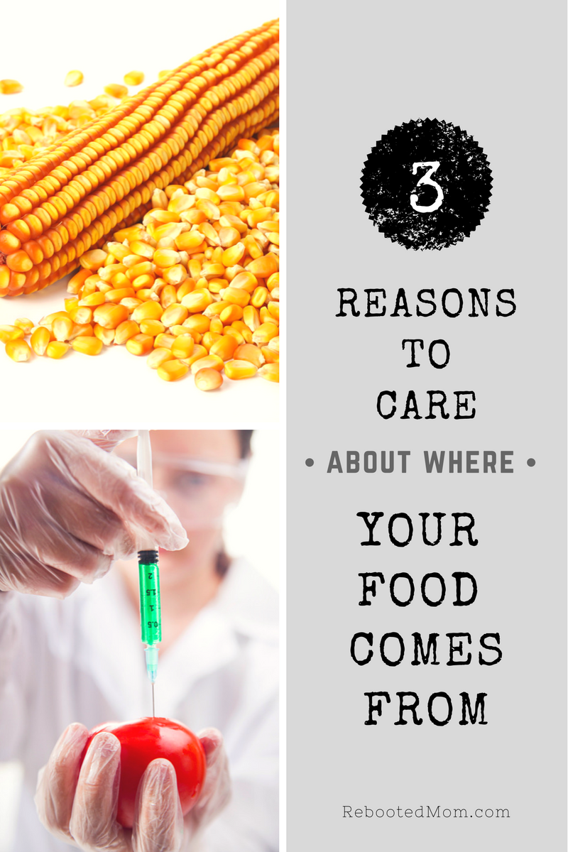 3 Reasons to Care About Where your Food Comes From