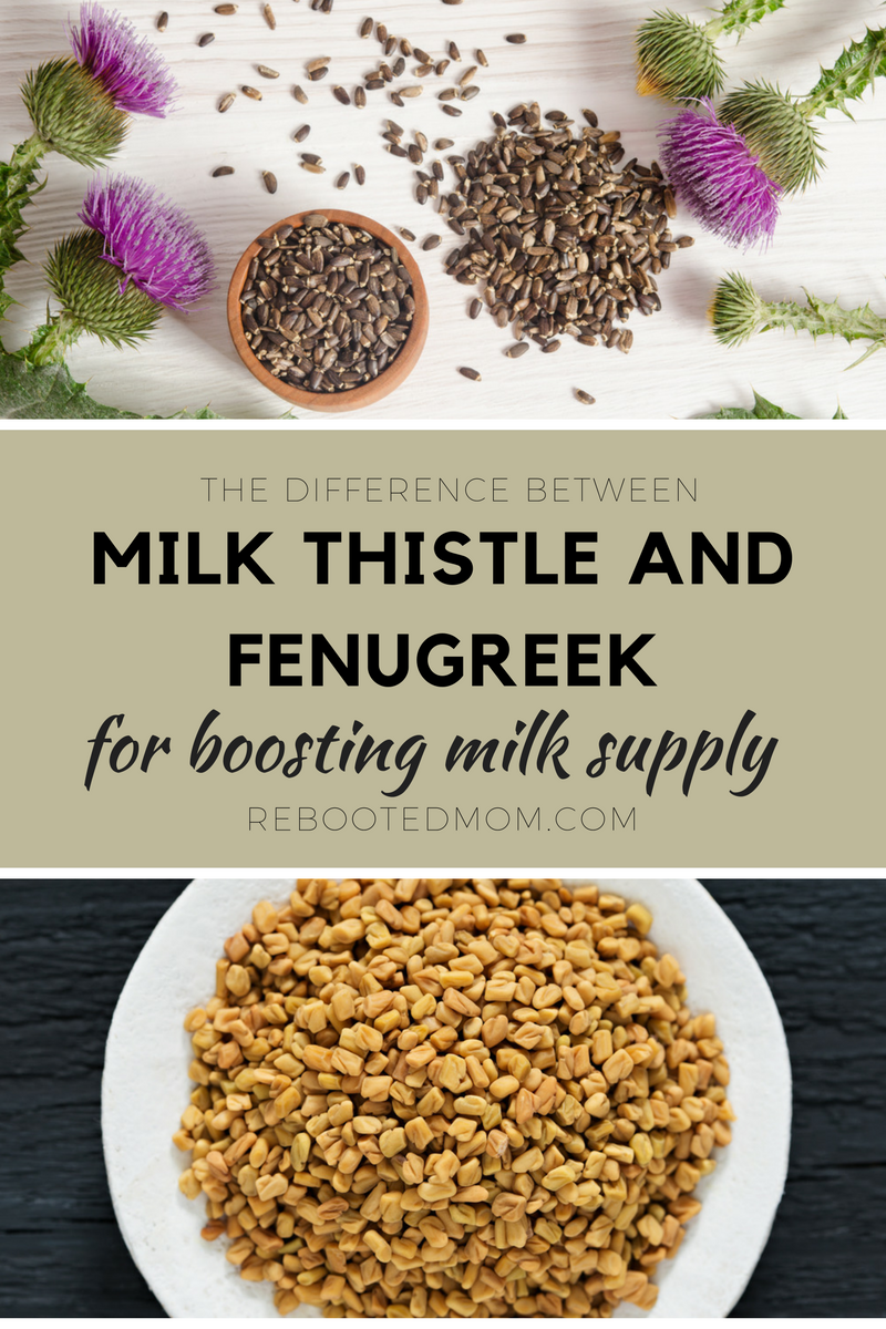The Difference Between Milk Thistle and Fenugreek for Boosting Milk Supply