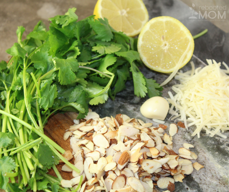 Fresh cilantro whipped up into pesto using sliced almonds, parmesan, garlic and lemon juice - great for stirring into pasta, topping over fish or chicken or combining with cottage cheese for a wonderful, healthy dip.