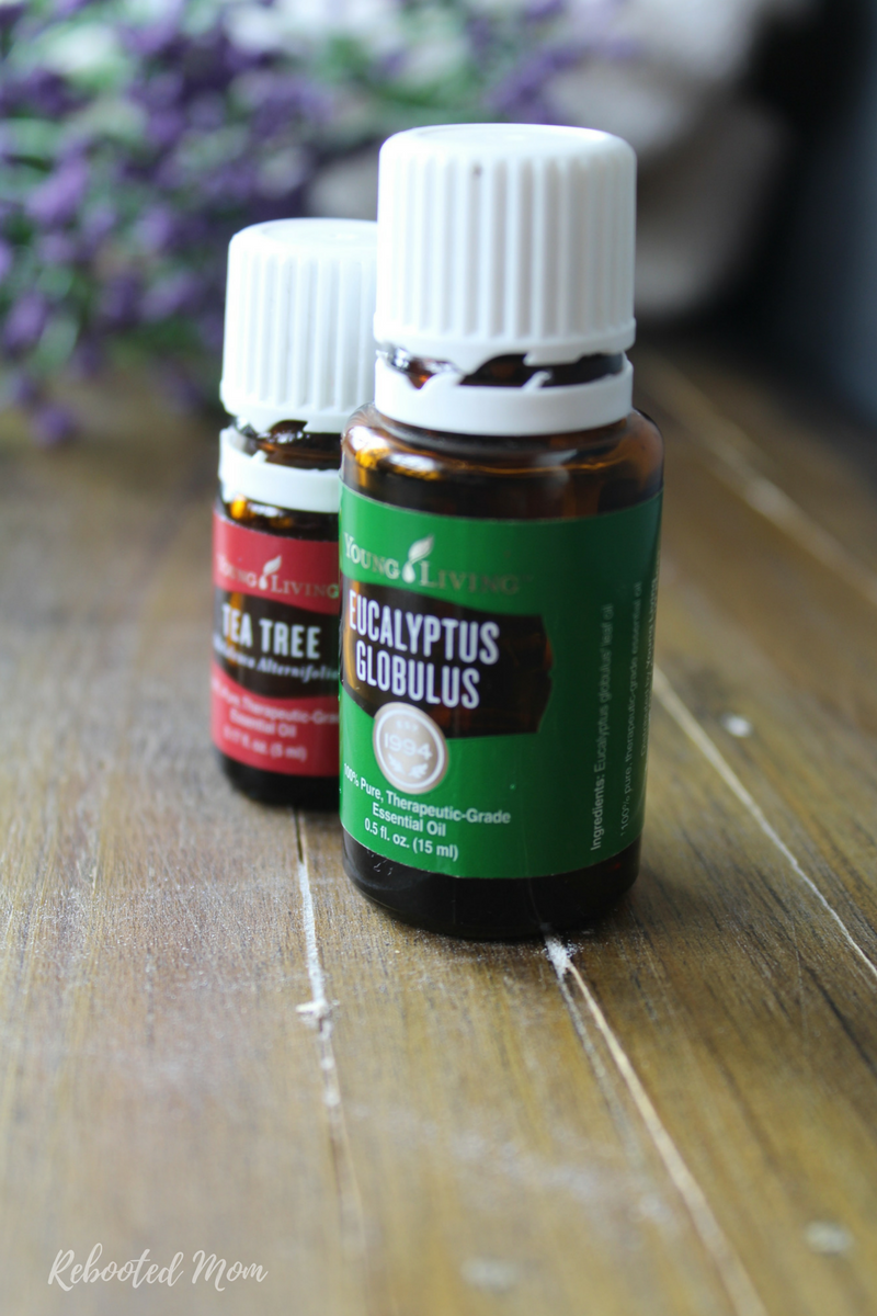This Eucalyptus Tea Tree All Purpose Cleaner is incredibly easy to make and a much healthier option than the toxic cleaners you will find in store.