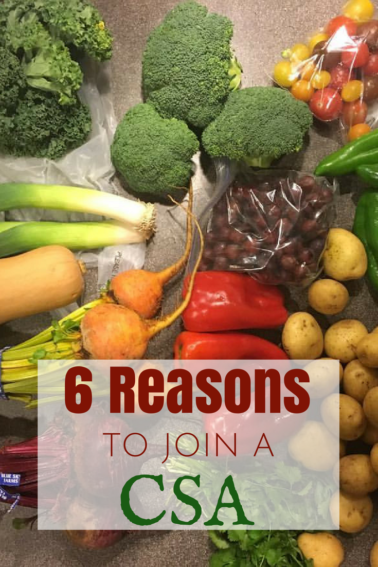 CSAs are growing in popularity - it’s a very rewarding and fulfilling relationship between farm and consumer. Here are 6 Reasons to Join a CSA.