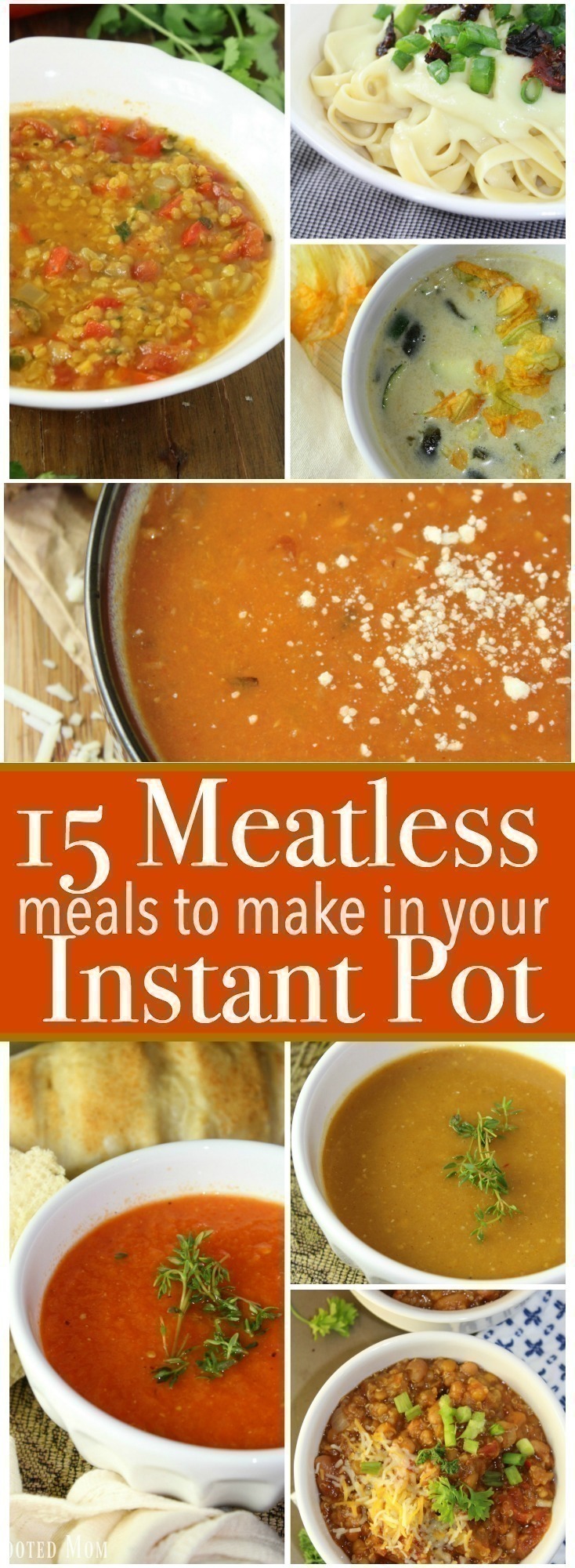 Sometimes we all need a little variety in our meals! Here are 15 easy Meatless Meals you can make in your Instant Pot.