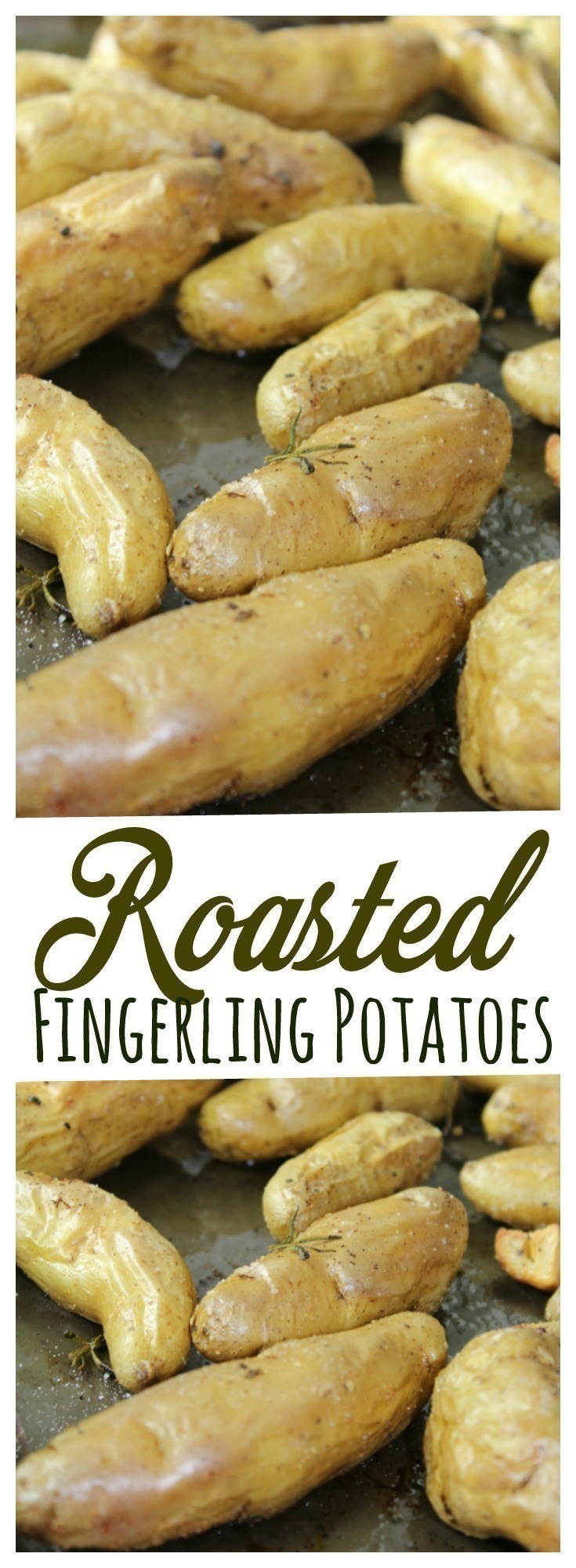 These Fingerling Potatoes are tossed with garlic and herbs and roasted in the oven to make an incredibly thick, flavorful potato that's excellent as a side dish!