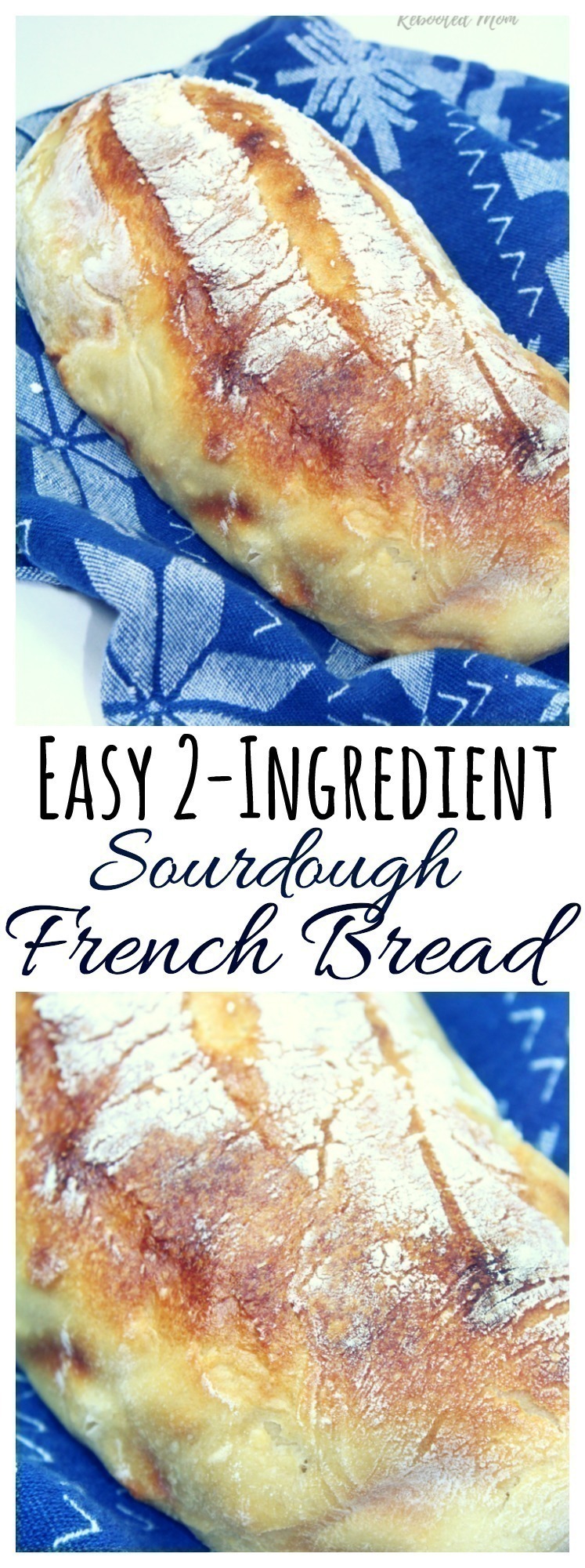 A beautiful loaf of gluten-free sourdough french bread bakes up with just 2 simple ingredients!