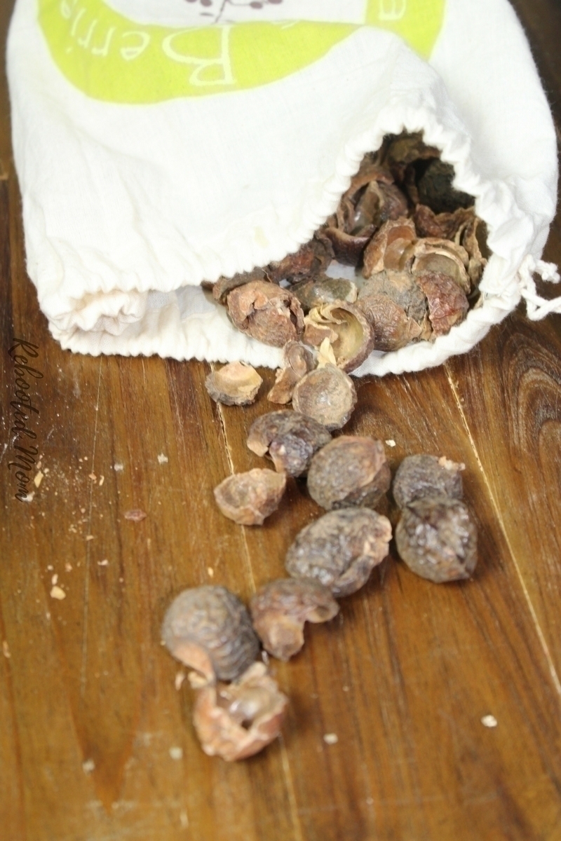 Soap Nuts are a berry shell that naturally contains soap. They grow on the Soap Berry tree in the Himalayas. Find out why they are a wonderful alternative for your laundry care needs.