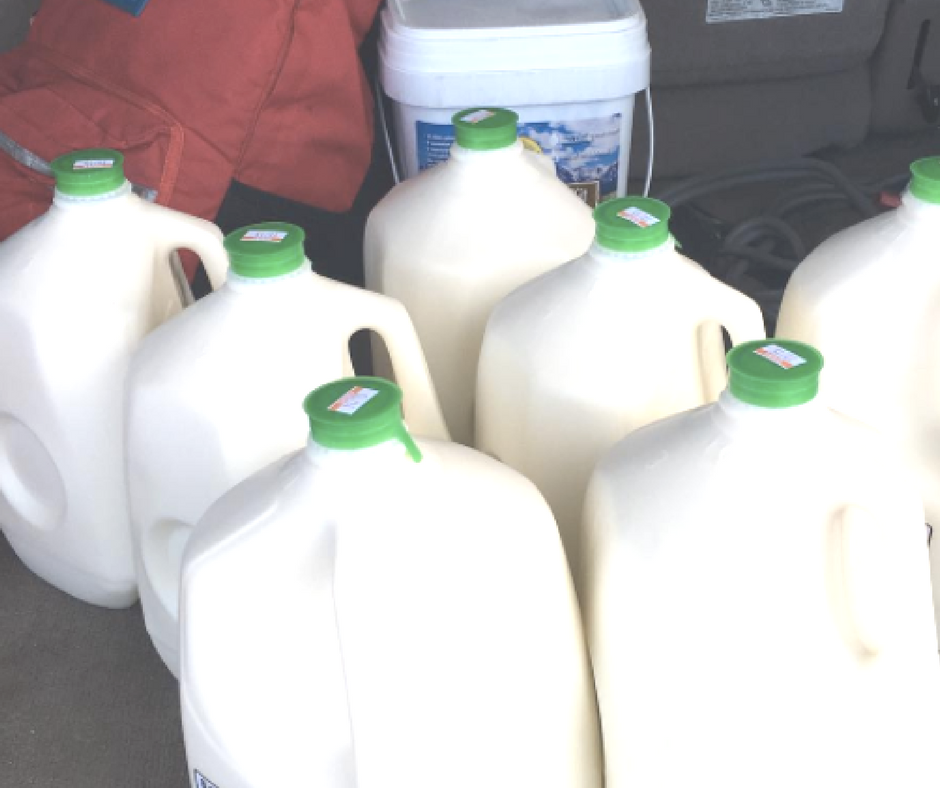 You can actually talk about the benefits of raw milk over, and over, and over... but until you actually have a gallon in front of you, and you pour yourself a glass, you may not be convinced it's for you.