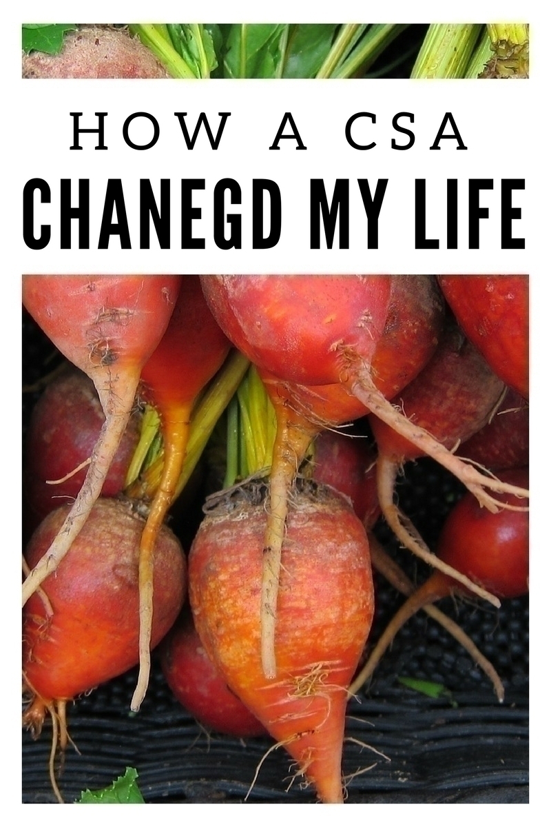 A CSA permits you to buy a weekly share directly from the farm exchange - within 24 hours, farm fresh produce is on your table. Here's how it changed our lives.