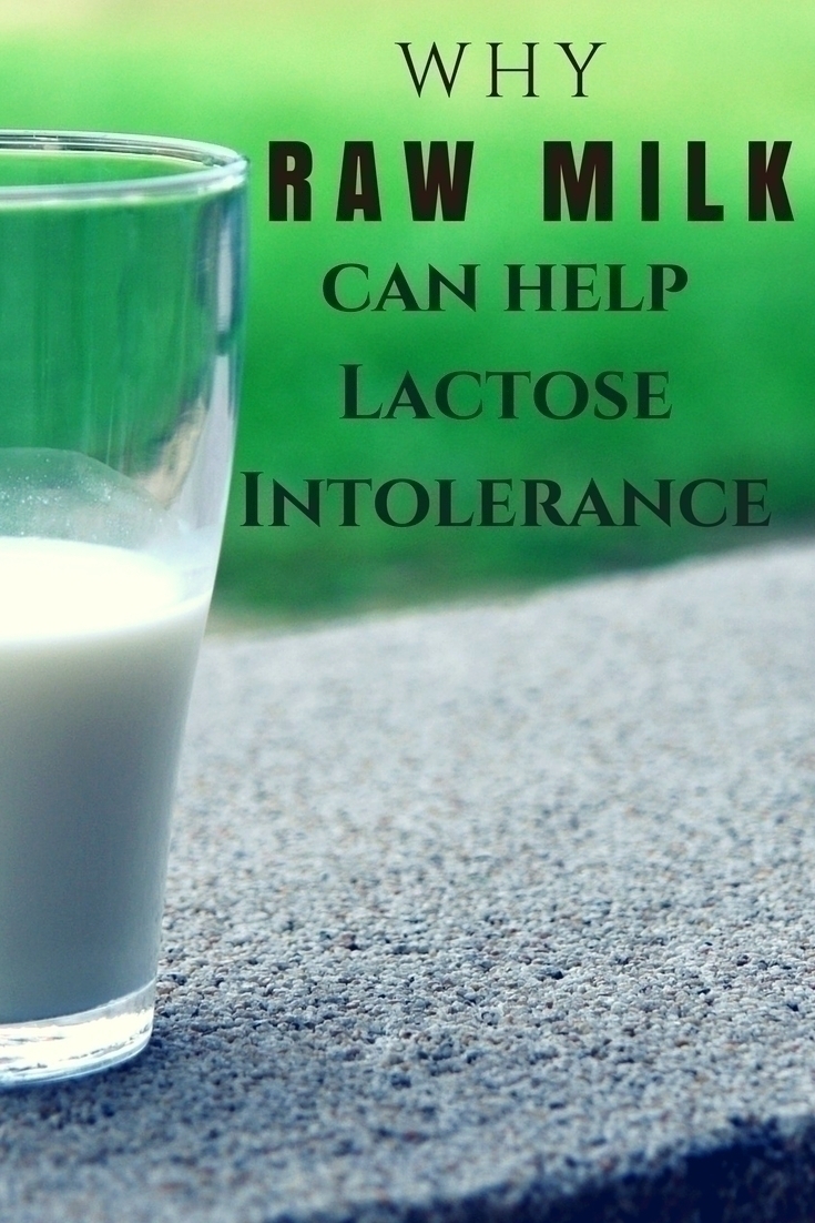 Find out how Raw Milk can help those who are lactose intolerant or with a dairy allergy.