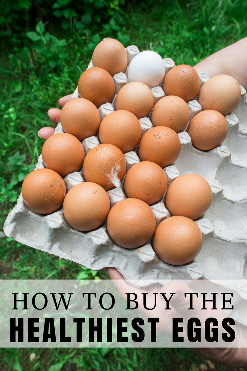 From organic eggs to free range, and vegetarian fed, which are best- How do you know- Here's a guide to helping you buy the healthiest eggs.