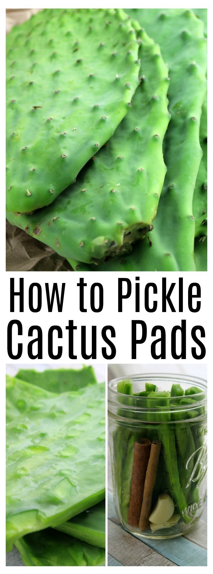 Cactus pads (Nopales) are trimmed, cleaned, and sliced, then pickled in a sweet brine that is full of flavor.