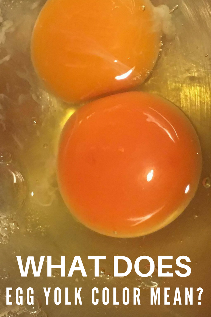 Yellow yolks, pale yolks, orange yolks, and even dark red yolks - what do you know about the color of your egg yolks?
