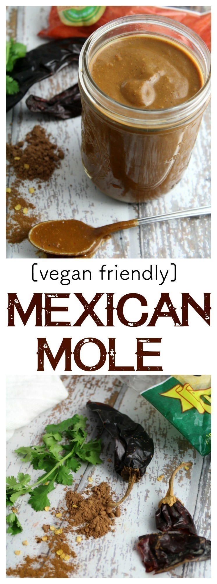 A rich, fragrant mole sauce that is wonderful on meatless enchiladas, tamales, and smothered on chicken. This sauce is vegan friendly and freezes wonderfully!    #vegan #meatless 