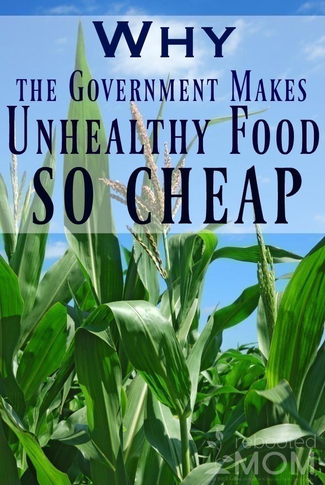 Why the Government Makes Unhealthy Food so Cheap