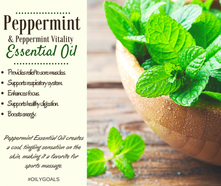 The Best Essential Oils for Women’s Health