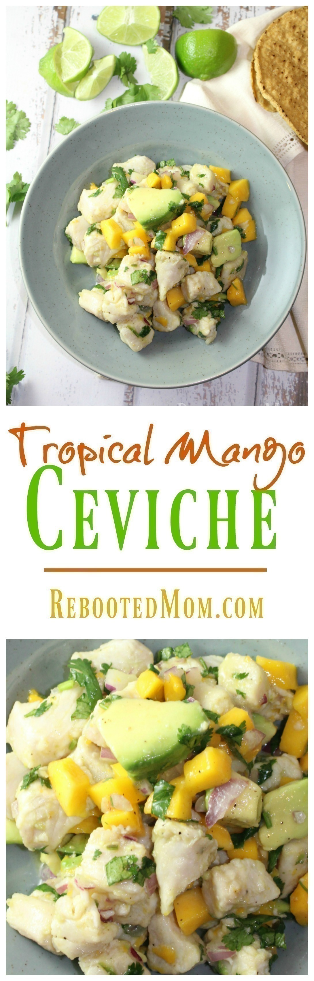 This tropical mango ceviche is a mixture of mango, avocado, onion and Mahi Mahi bathed in a mixture of orange juice with a punch of pepper. Best eaten with tostadas or tortilla chips.