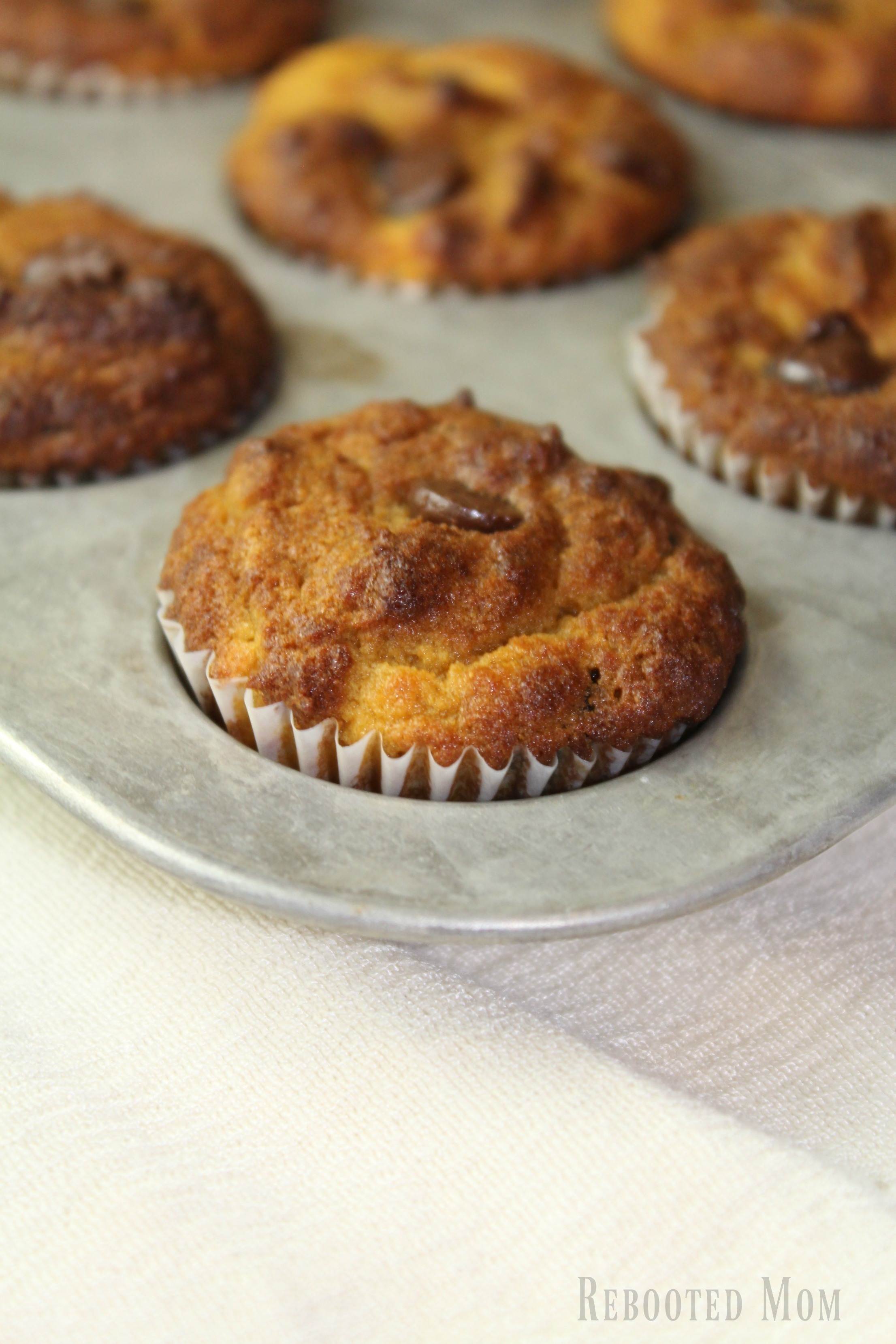 Yummy grain-free muffins that combine coconut flour, pumpkin and chocolate chips for a delicious kid-friendly snack.