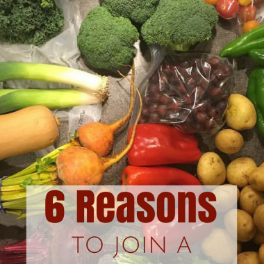 6 Reasons to Join a CSA (Community Supported Agriculture)