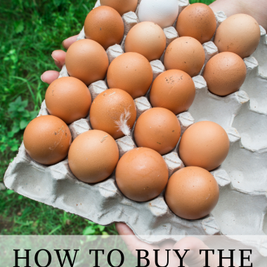 How to Buy the Healthiest Eggs