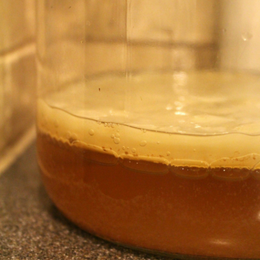 How to Grow a Kombucha SCOBY from Scratch