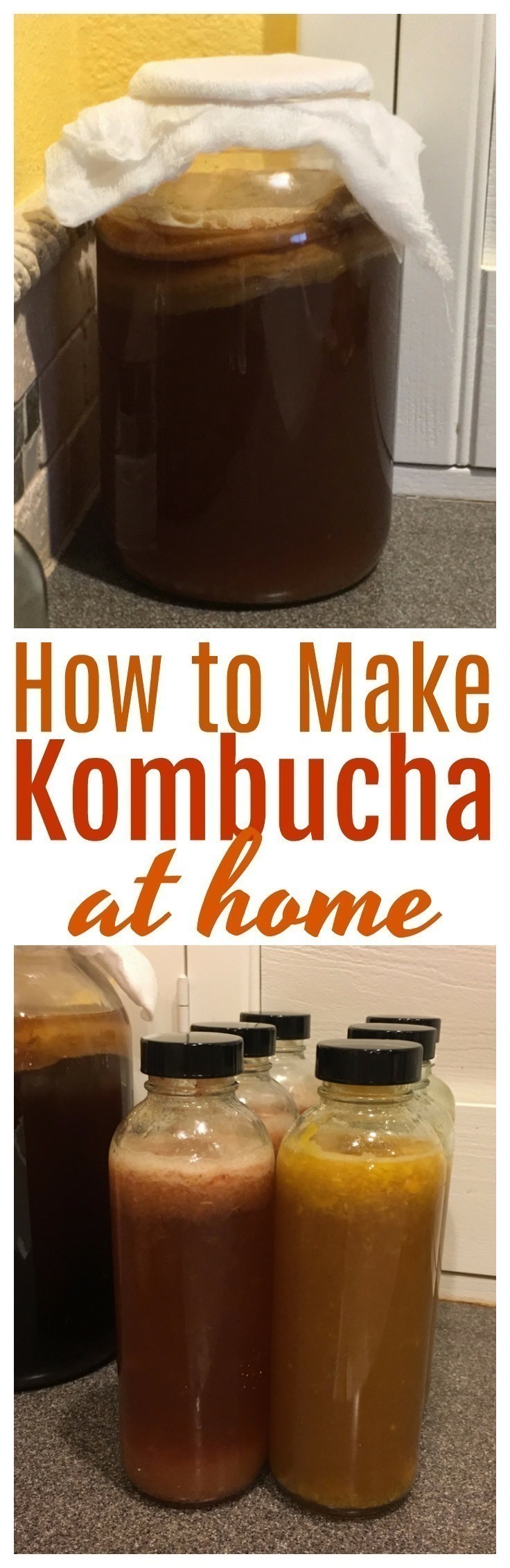 Kombucha is a fermented probiotic beverage of black or green tea and sugar, that can be easily made at home with a tremendous cost savings. #probiotic | #fermented | #kombucha