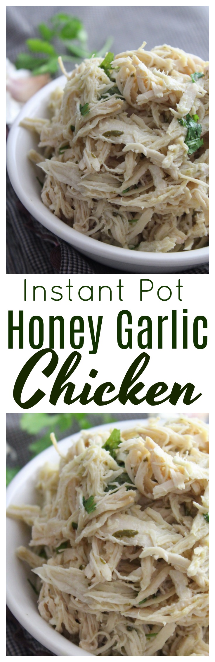 A delicious combination of honey, garlic and ginger gives just the right sweetness to this shredded chicken recipe, which is great over rice or to use as a filling for rolled tacos, burritos and more.