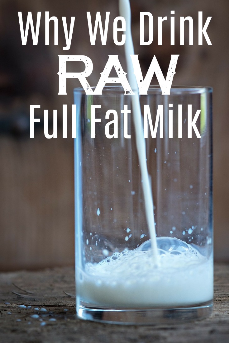 Why my family of 7 drinks full fat, raw milk from pastured cows.