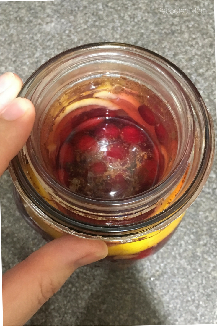 Beautiful red cranberries combined with orange peel, & cinnamon and soaked in a brine to make a healthy, fermented snack that's full of healthy bacteria for good gut health. #fermented #cranberries #pickled