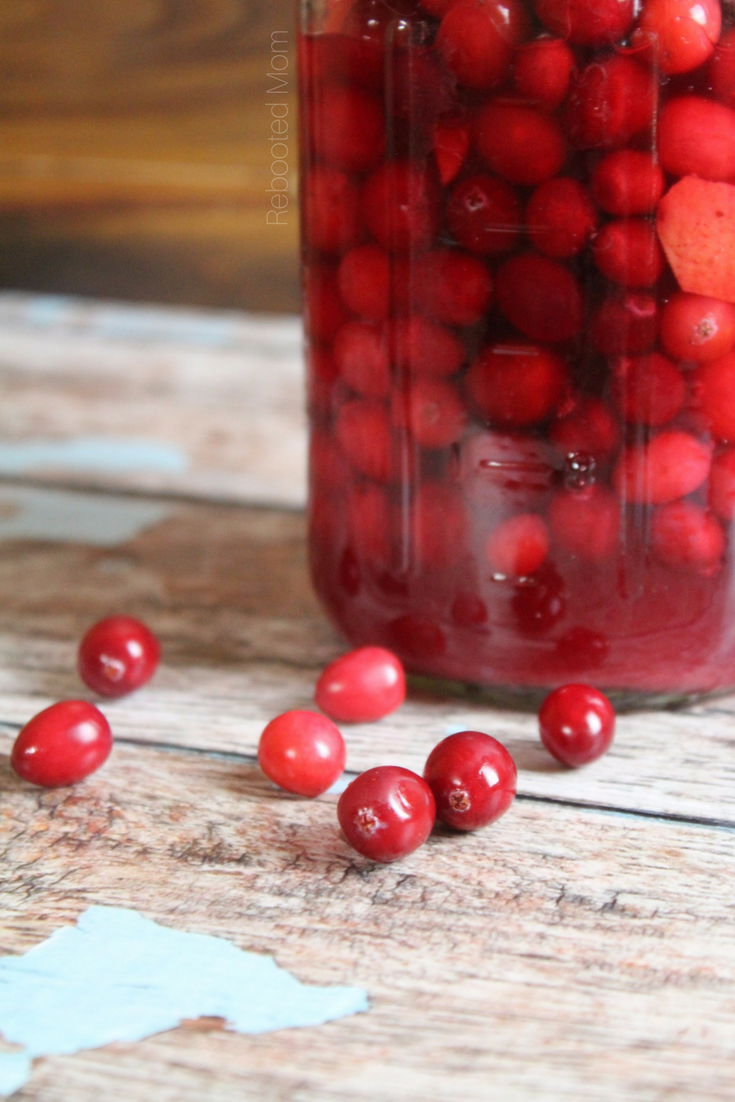 Beautiful red cranberries combined with orange peel, & cinnamon and soaked in a brine to make a healthy, fermented snack that's full of healthy bacteria for good gut health.  #fermented #cranberries #pickled