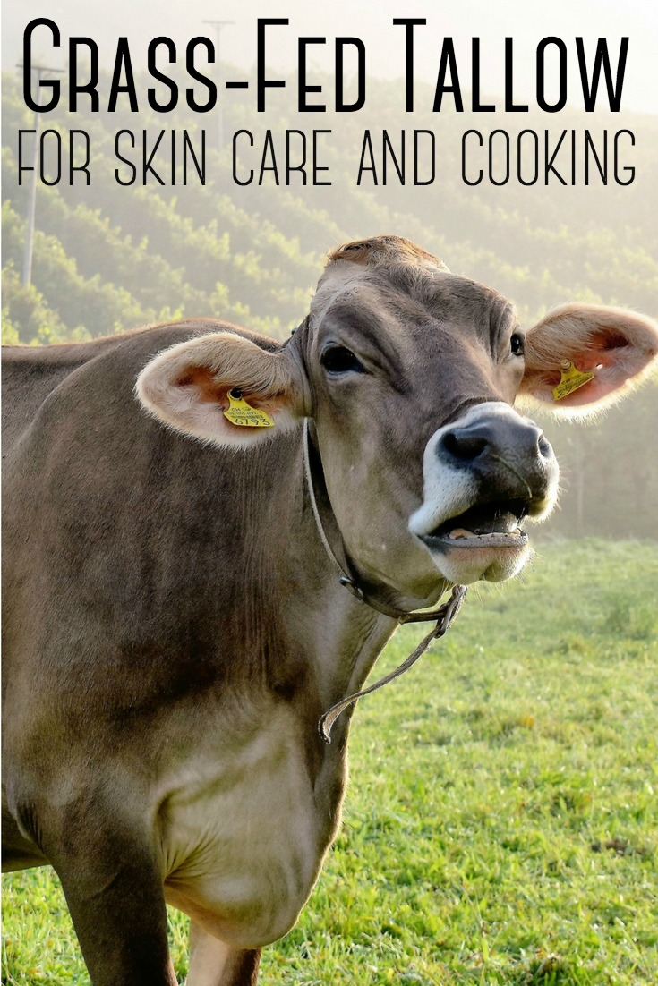 Tallow is rendered fat (suet) that surrounds the kidneys/organs of a cow, deer or bear. Not all tallow is the same, however - find out why you should opt for grass-fed tallow for cooking and skin care. #tallow #cooking #skincare #soapmaking #healthy #healthyfat