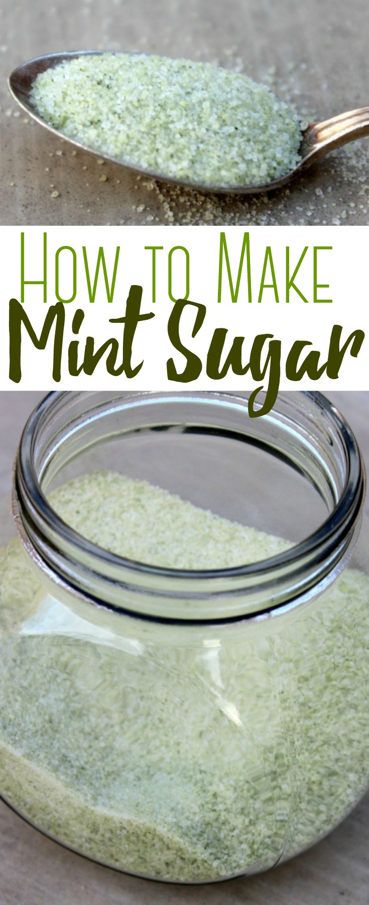 Learn how to make mint sugar with fresh mint! This delicious mint sugar comes together in just minutes with just two simple ingredients! #mintsugar #mint #herbs #sugar #gardening #foodpreservation