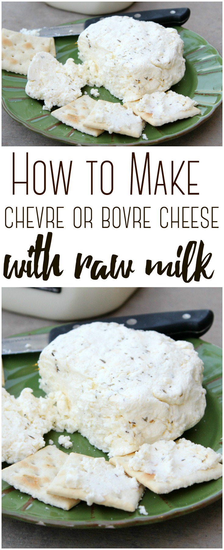 Bovre Cheese (much like homemade chevre cheese is super delicious - and easy to make at home with a gallon of raw cow milk.