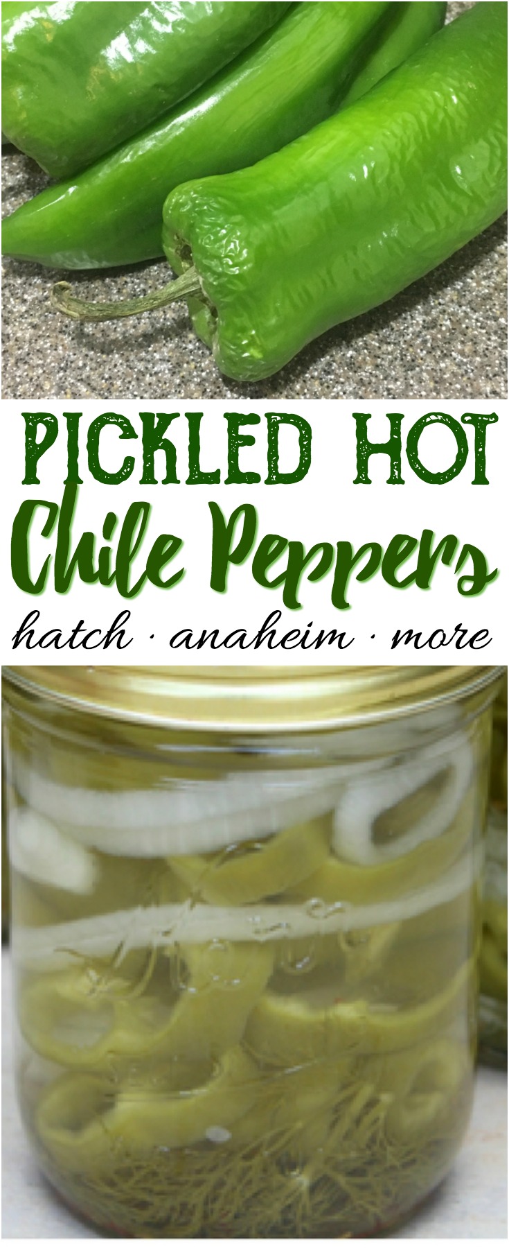 Easy and delicious refrigerator pickled hot chile peppers! 