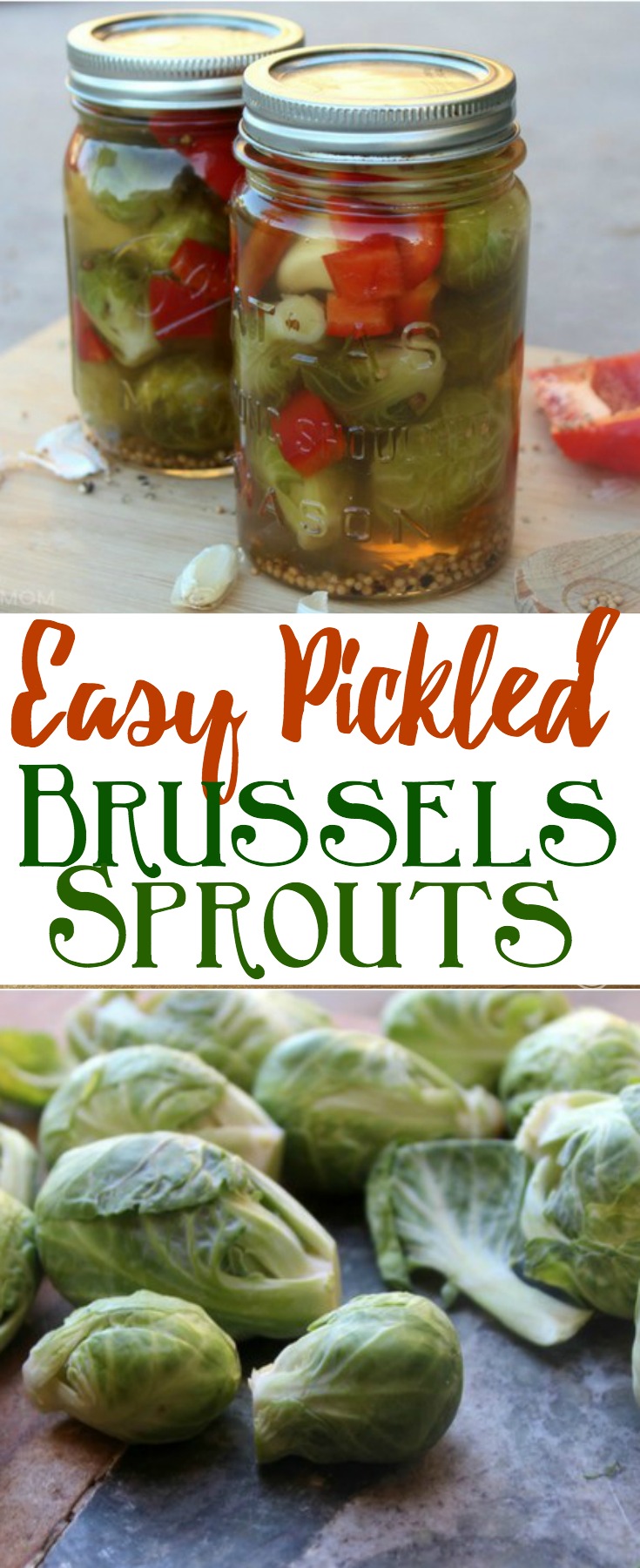 An easy pickling recipe for pickled Brussels Sprouts that transforms Brussels Sprouts into crunchy and tangy sprouts covered in a flavorful brine rich in garlic and spices.
