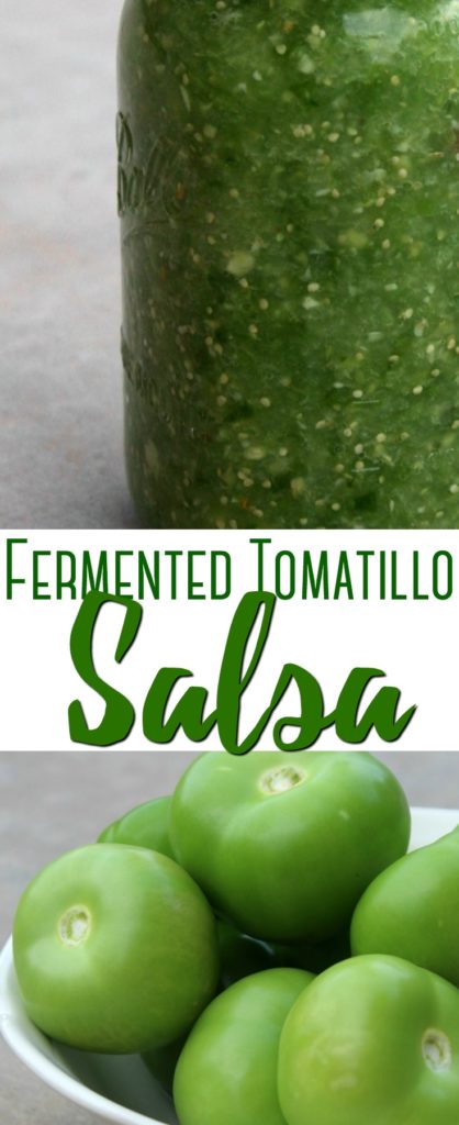 Fermented Tomatillo Salsa