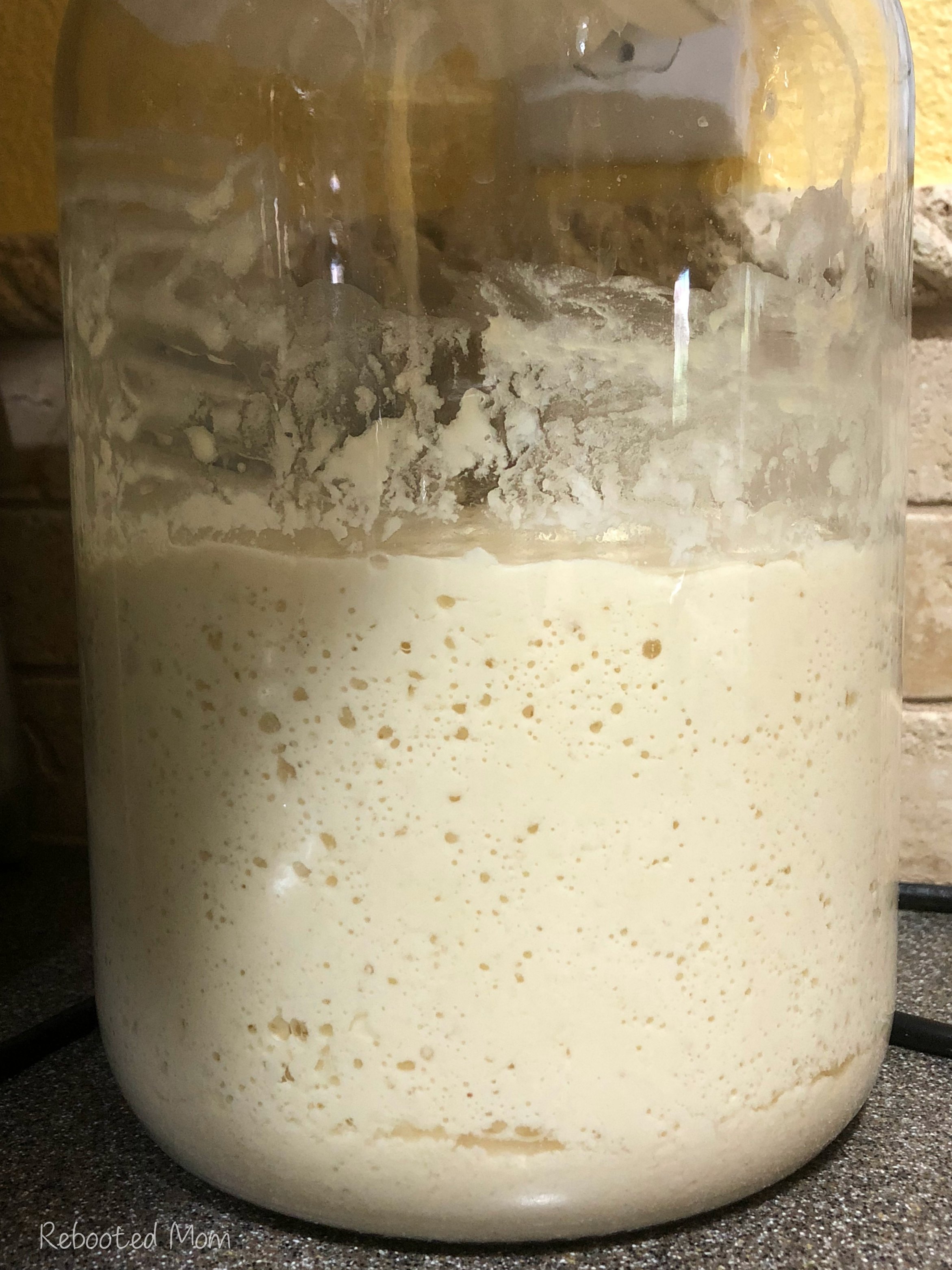 Gallon jar of kefir sourdough starter that's ready to use || This kefir sourdough starter uses natural bacteria and yeasts and is a twist on the traditional water and flour sourdough starter.