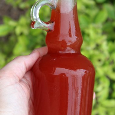 Learn how to make beautiful and delicious prickly pear syrup from prickly pear cactus fruit. The result is a syrup that's sweet, colorful and packed with vitamins.