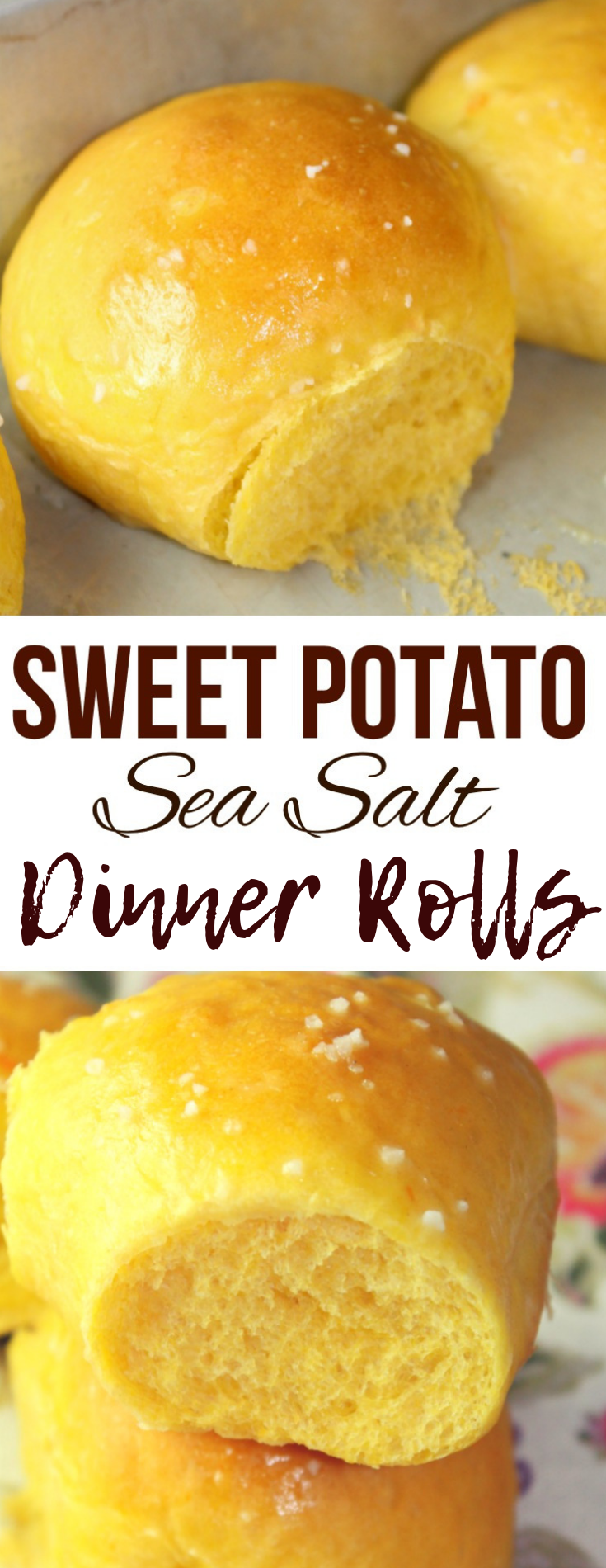 Sweet Potato & Sea Salt Dinner Rolls