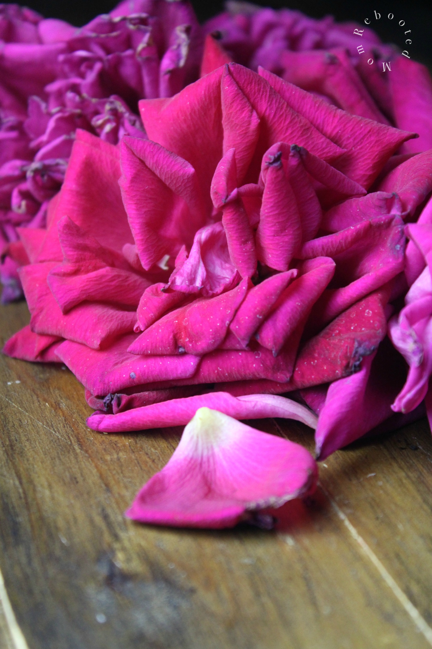 Here's everything you need to know about drying rose petals for tea, crafts and making your own rose-infused kombucha brew.