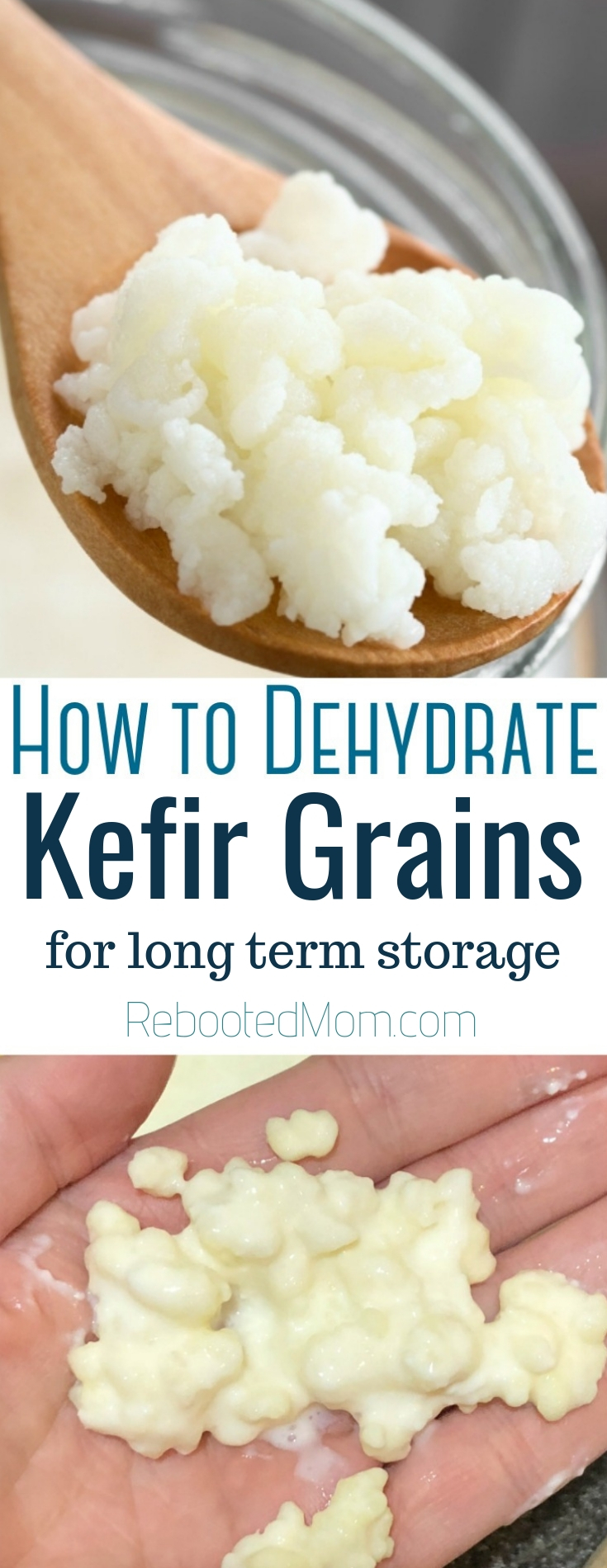 Learn how to dehydrate kefir grains - it is an easy process that anyone can do and one that helps you create a back up of your grains for later use.