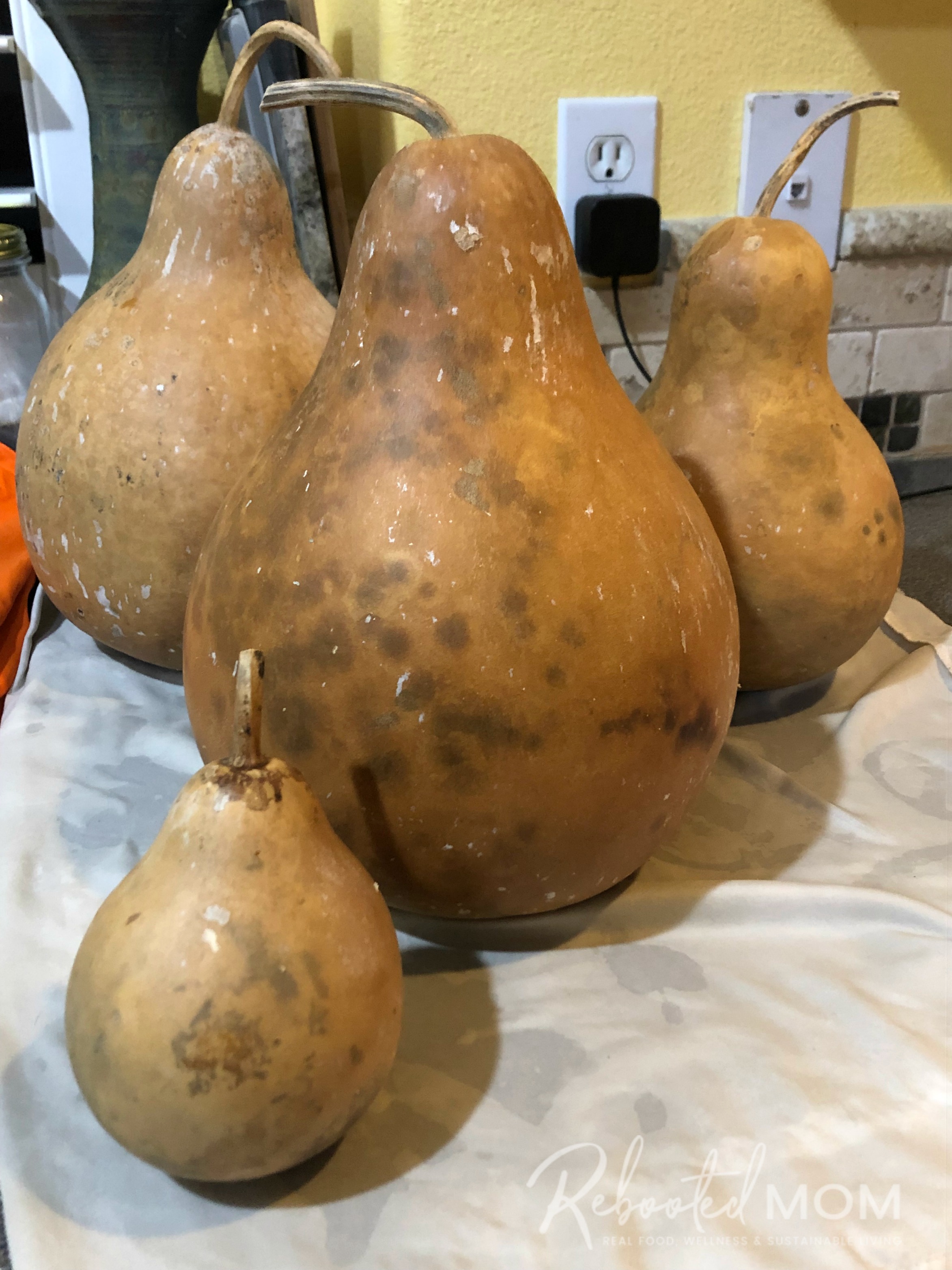 Drying and cleaning gourds for for painting or crafting projects is easy to do yourself at home if you follow a few simple steps.