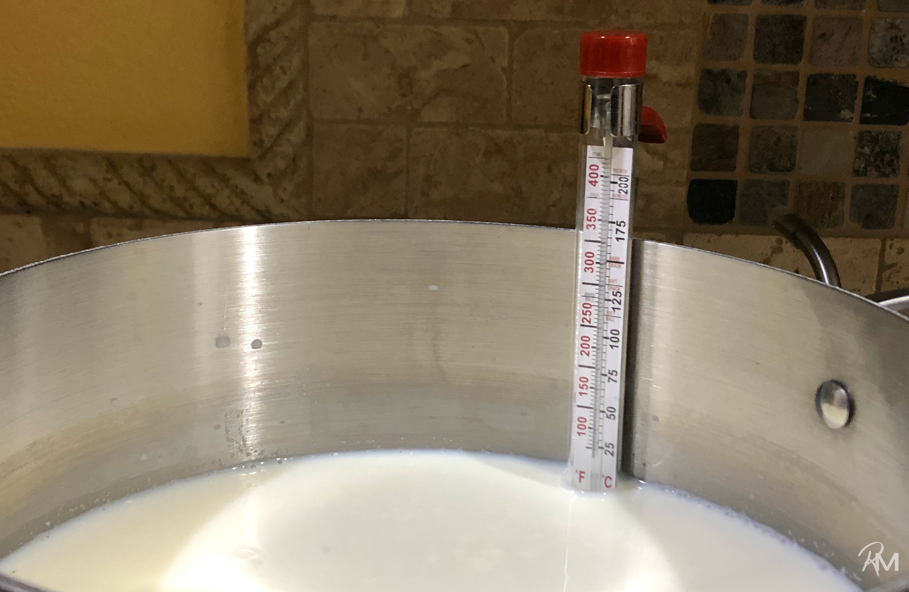Cheesemaking Dairy Thermometer – Cheese and Yogurt Making