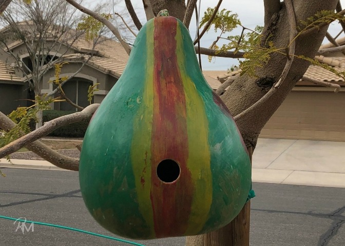 DIY gourd birdhouses are a neat craft for the entire family! You can design and paint them an array of colors to fit your garden decor!  #gourd #birdhouse #kids #family #craft #DIY #gourdbirdhouse