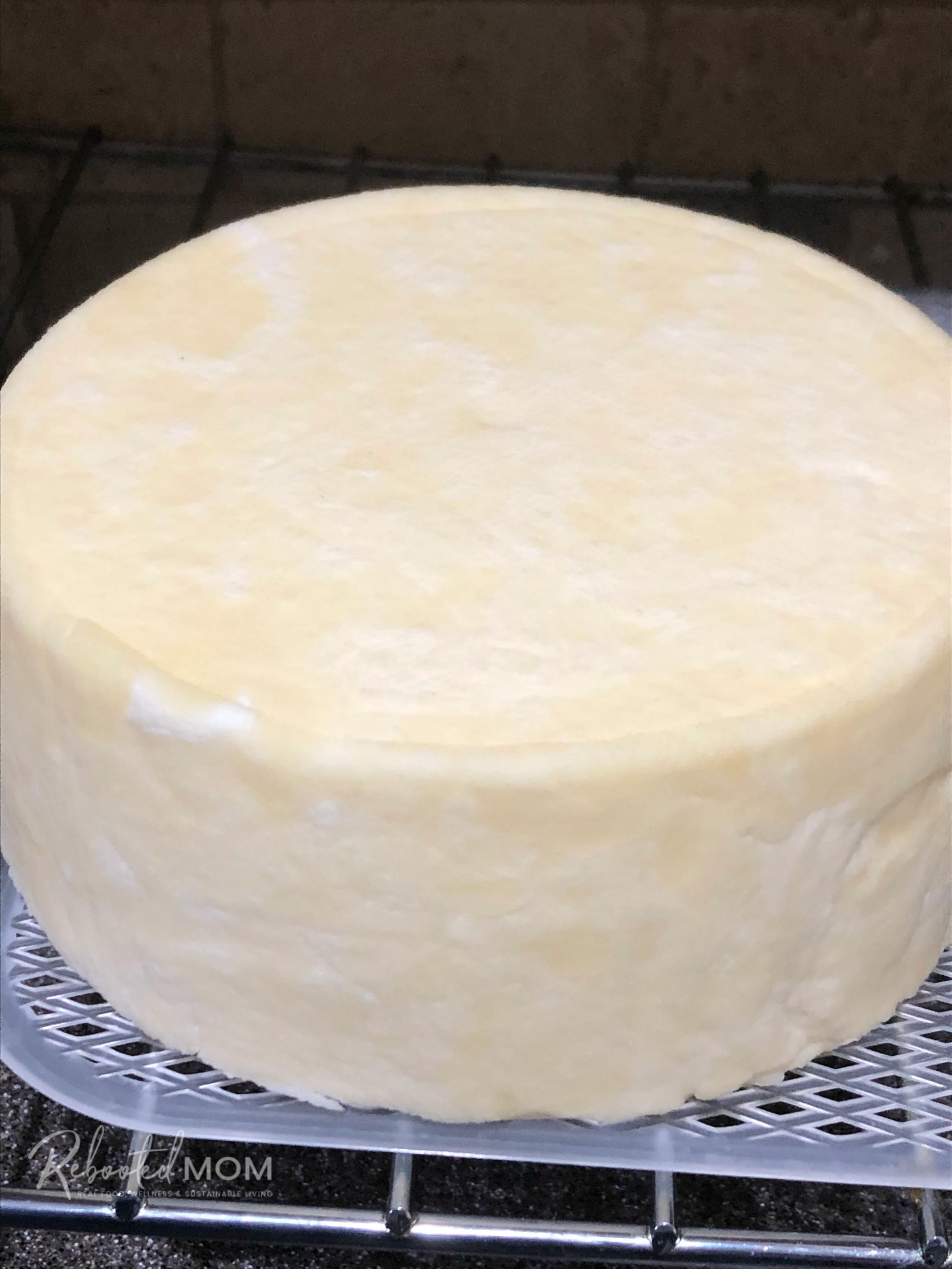 Monterey Jack Cheese - brine the cheese